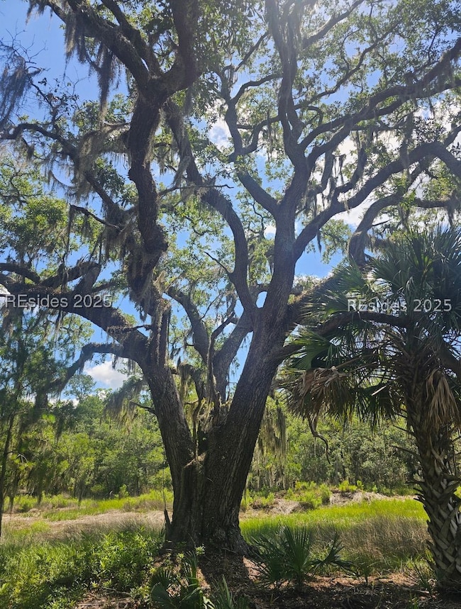 11 Hasell Pointe Rd, Okatie, SC 29909 - photo 3