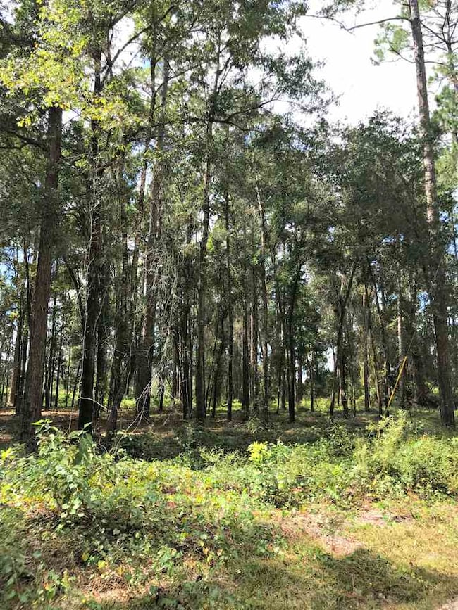 0 Casseaux Rd unit 296333, Crawfordville, FL 32327 - photo 3