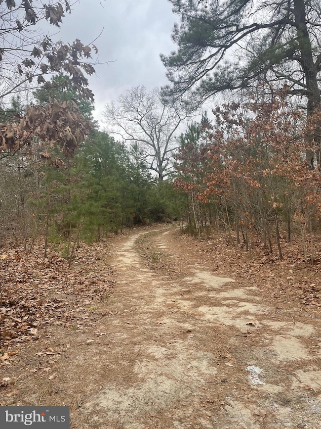 2738 Jackson Rd, Williamstown, NJ 08094 - photo 4