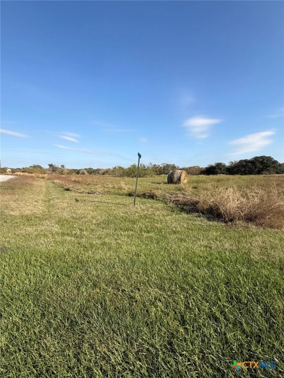 000 River Hollow Way, Blessing, TX 77465 - photo 3