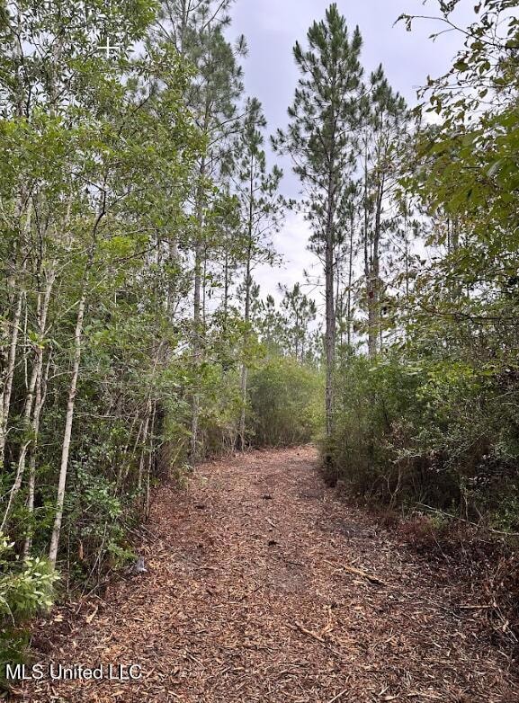 MulchedTrail