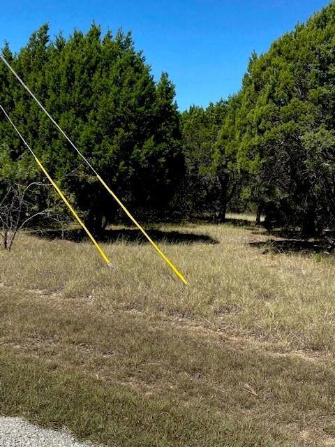 43003 Whisperwood Dr, Whitney, TX 76692 - photo 2