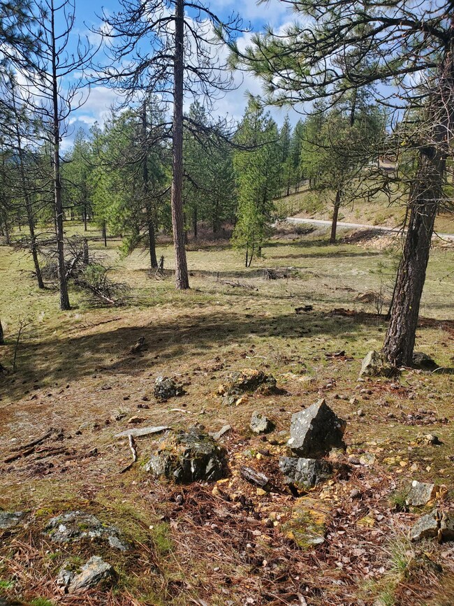 717 Snead Dr, Chewelah, WA 99109 - photo 5