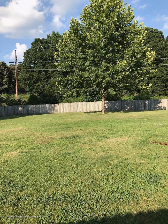 3412 Pendulum Dr E, Hernando, MS 38632 - photo 3