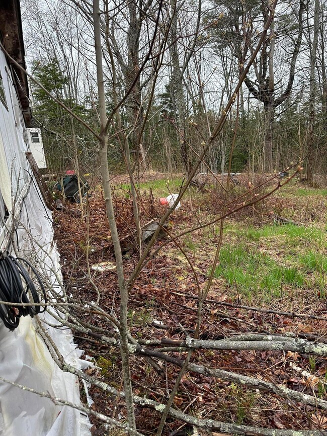 266 Willey District Rd, Cherryfield, ME 04622 - photo 4