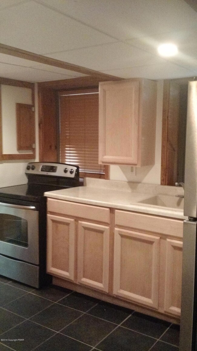 3128 Old Canadensis Hill Rd unit Rear, Cresco, PA 18326 - photo 5