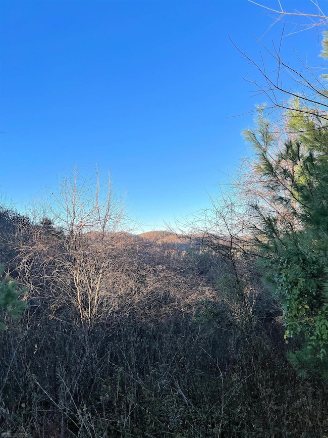 TBD River View Ln, Hiwassee, VA 24347 - photo 3