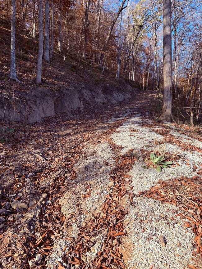 0 None unit 126826, Hager Hill, KY 41222 - photo 7