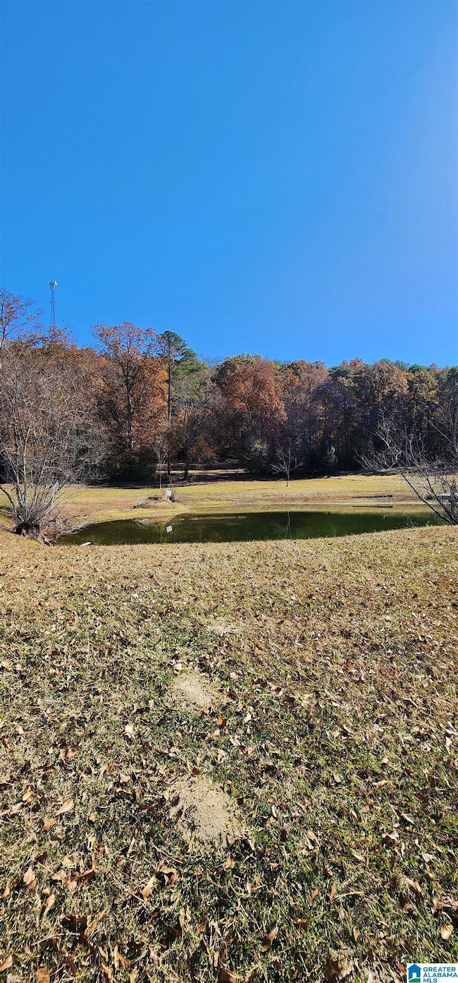 352 Kudzu Rd, Oneonta, AL 35121 - photo 4