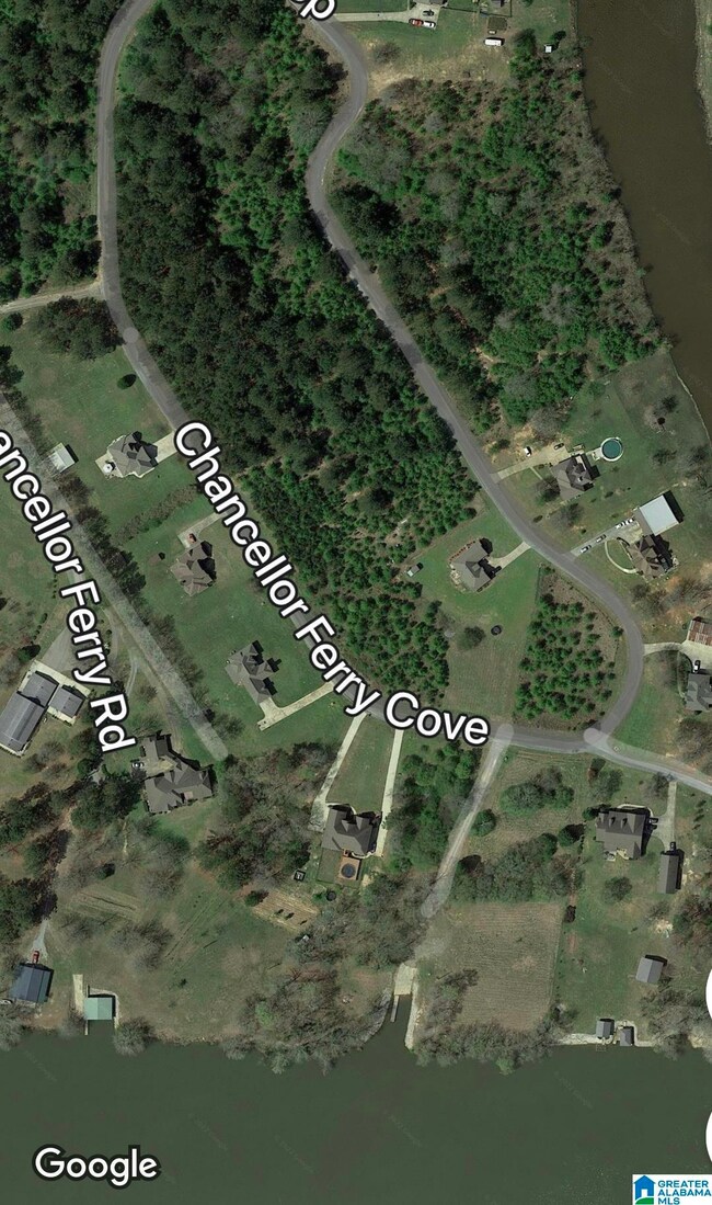 1085 Chancellors Ferry Loop unit 37, Harpersville, AL 35078 - photo 6