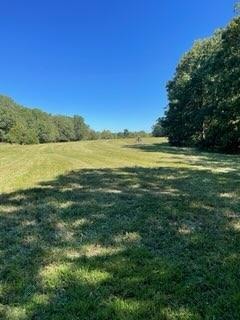 000 E State Highway Yy, Strafford, MO 65757 - photo 2