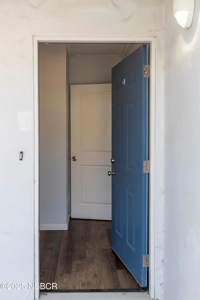 Tom Hinkens Best Edit  Photo-2