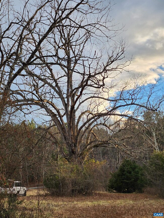 TBD Jefferson Mill Rd, Scottsville, VA 24590 - photo 4