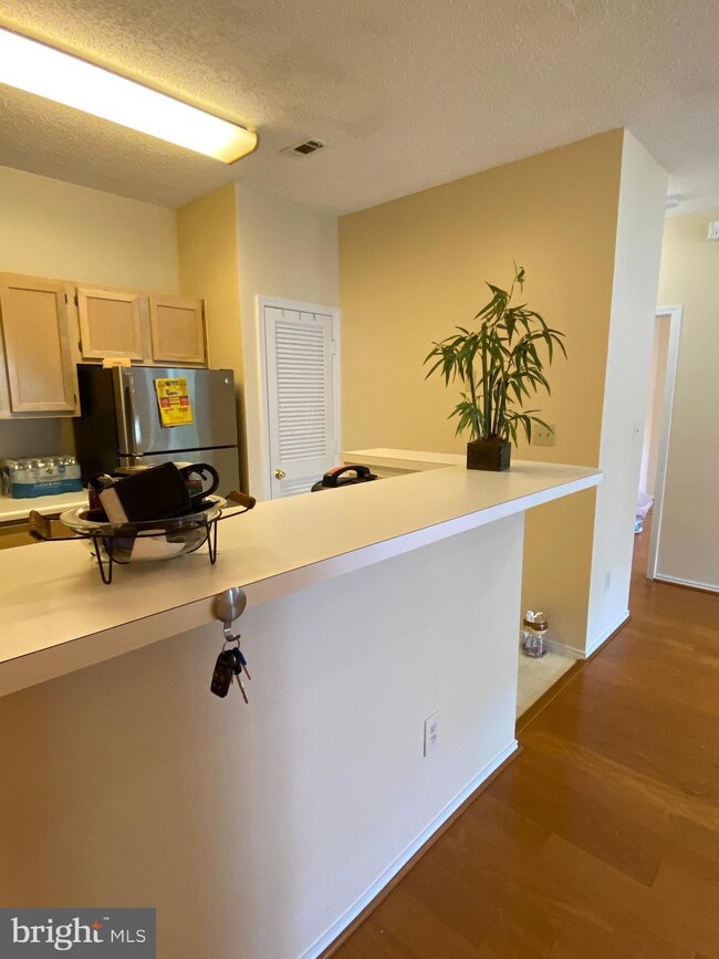 13085 Autumn Woods Way unit 101, Fairfax, VA 22033 - photo 5