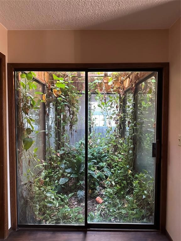 Entryway with a textured ceiling