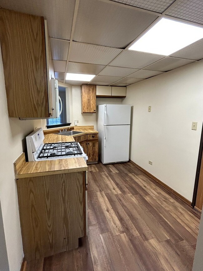 692 Quincy Bridge Ln unit 302, Glenview, IL 60025 - photo 3