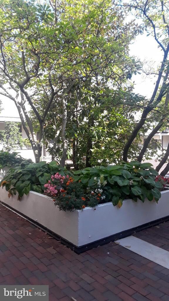 2326 Pennyroyal Terrace, Baltimore, MD 21209 - photo 3