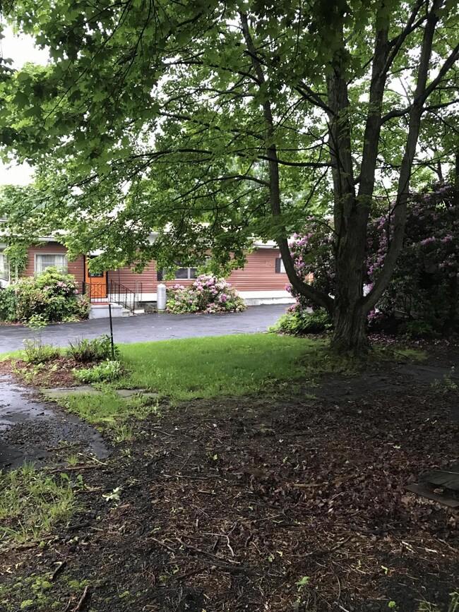 205 Edwards Ave, Clarks Summit, PA 18411 - photo 3