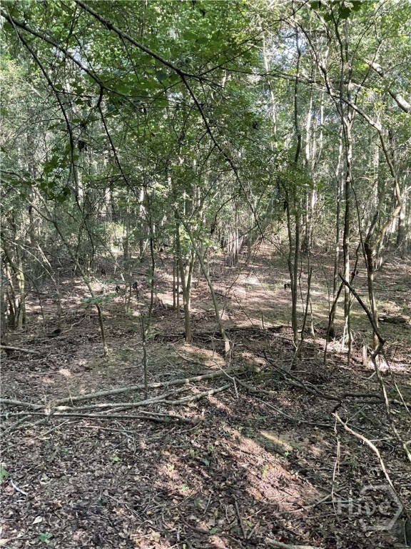 0 Bowers St unit LOT 1-8, Bowman, GA 30624 - photo 5