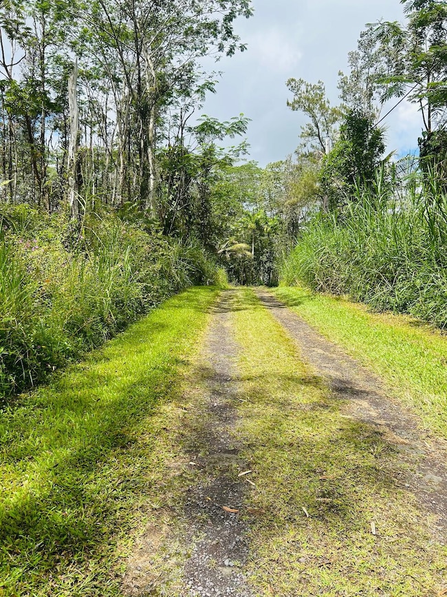 Niihau Rd heading toward Hapuu Rd.