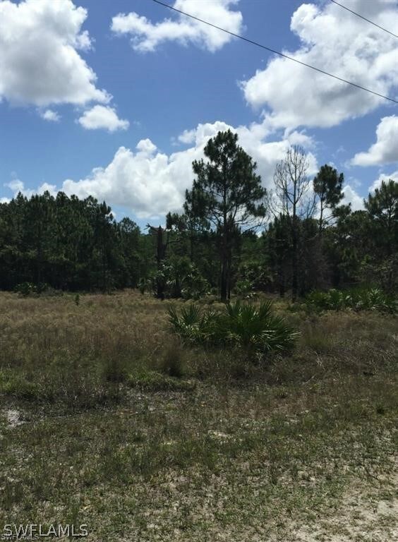 21351 Corkscrew Ranch Rd, Estero, FL 33928 - photo 5