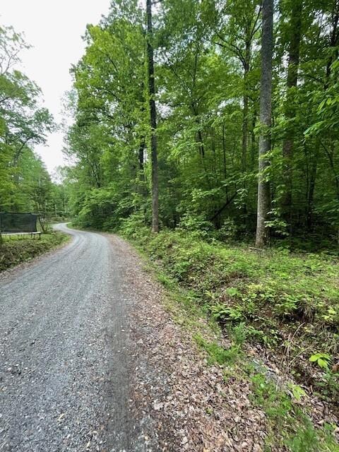 0 Mccormick Dr unit 7568882, Dawsonville, GA 30534 - photo 5