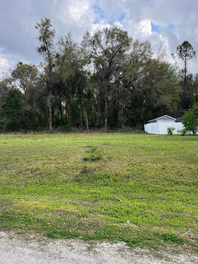 View of the rear area of the lot. No rear neighbors.