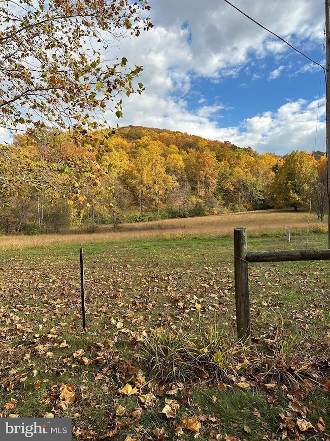 1463 Quaker Run Rd, Banco, VA 22711 - photo 6