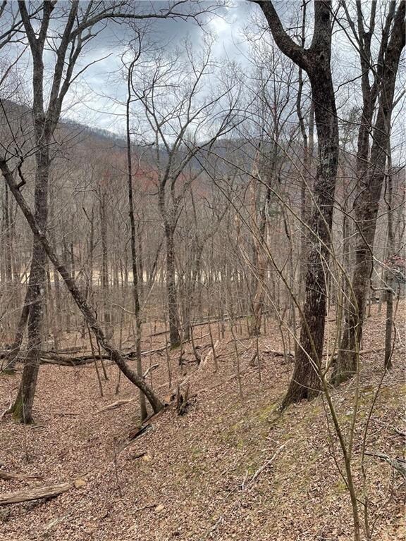 LT3150 Crippled Oak Trail, Jasper, GA 30143 - photo 5