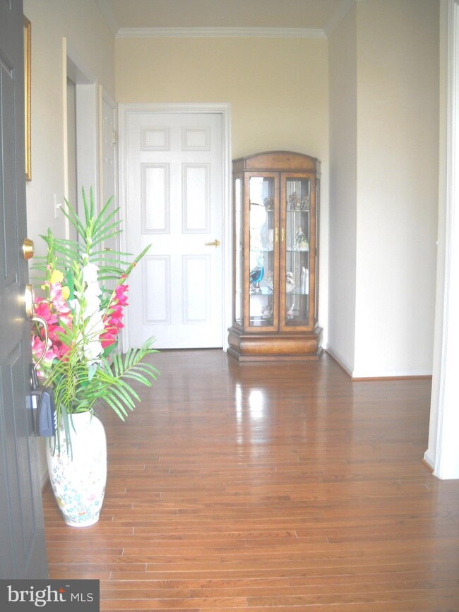 6808 Street Cry Ct, Gainesville, VA 20155 - photo 3