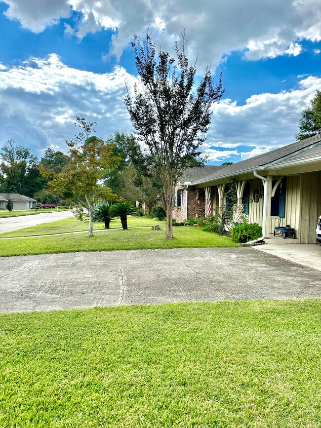 front yard