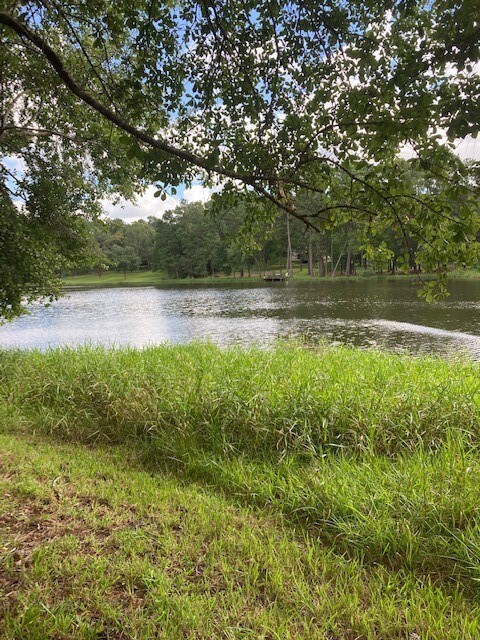 2534 Blue Lake Dr, Magnolia, TX 77354 - photo 5