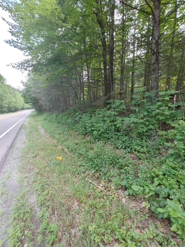 0 U S 302 unit 4873749, East Corinth, VT 05076 - photo 4