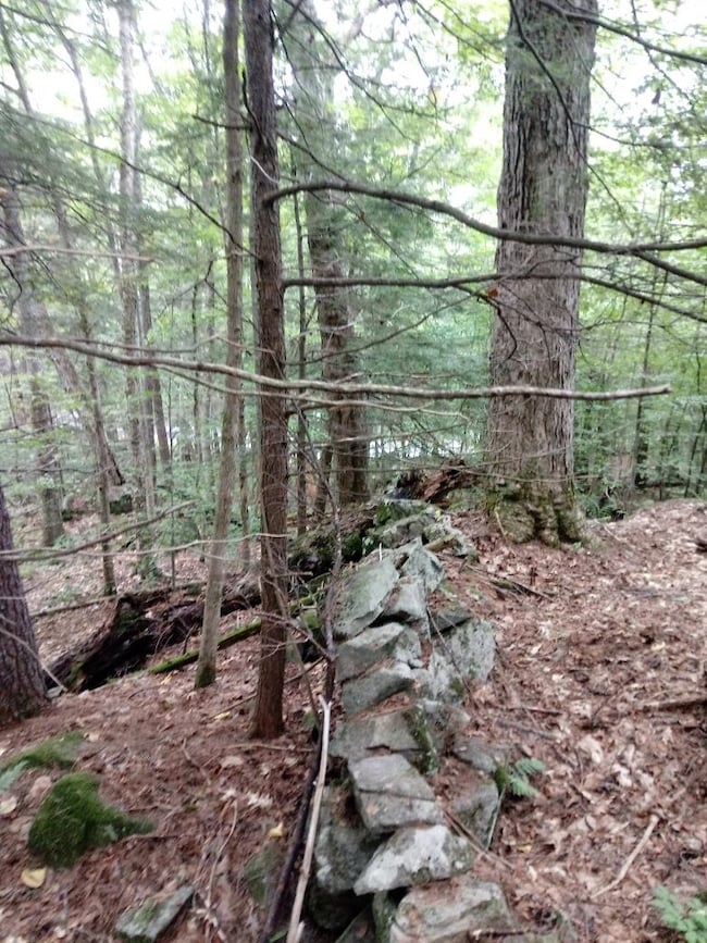 420 Sutton Rd, Newbury, NH 03255 - photo 4