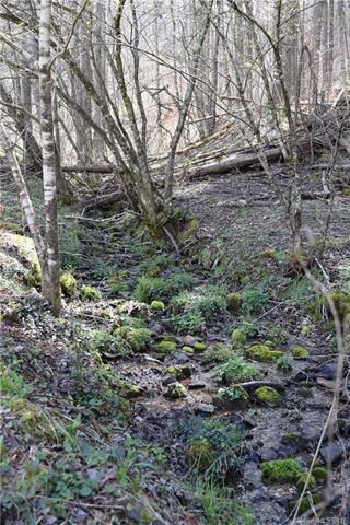 173 Doan Town Rd, Burnsville, NC 28714 - photo 4