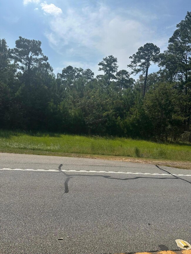 000 Wrens Hwy, Thomson, GA 30824 - photo 2