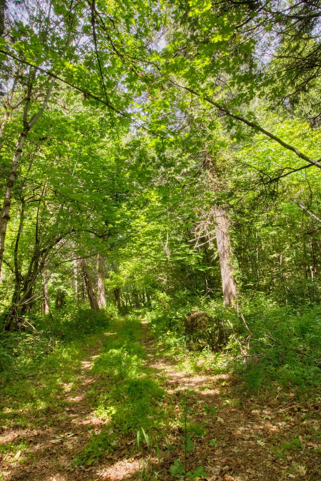 456 Garner Rd, Cave Junction, OR 97523 - photo 4