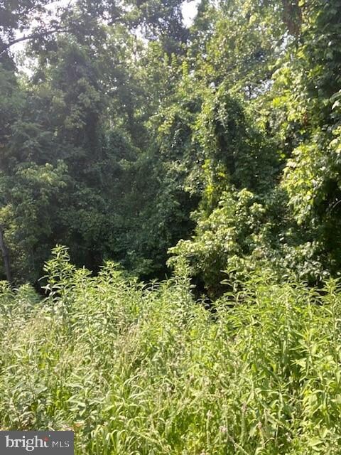 0 River Haven Dr unit WVJF2000368, Harpers Ferry, WV 25425 - photo 2