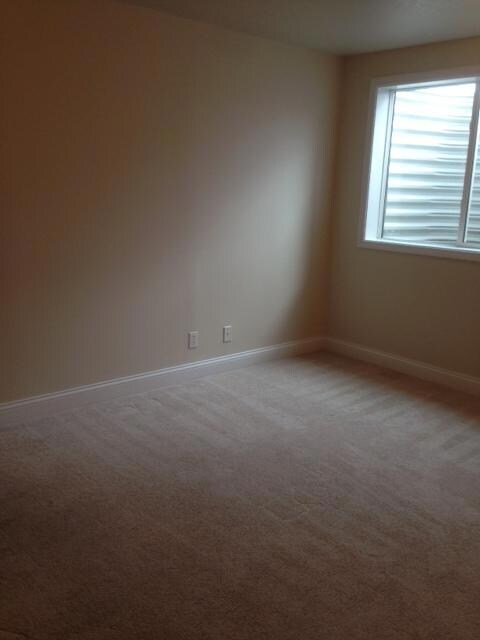 Lower level bedroom