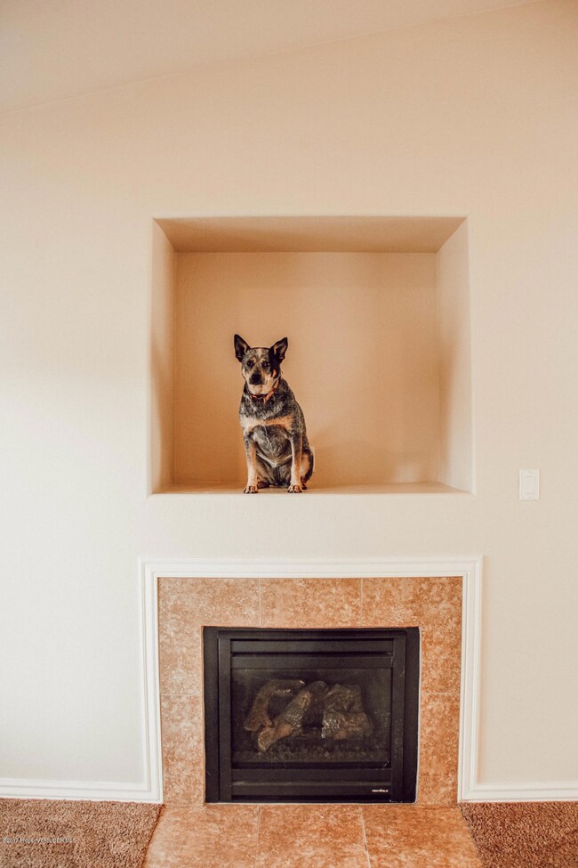 Living Room Fireplace