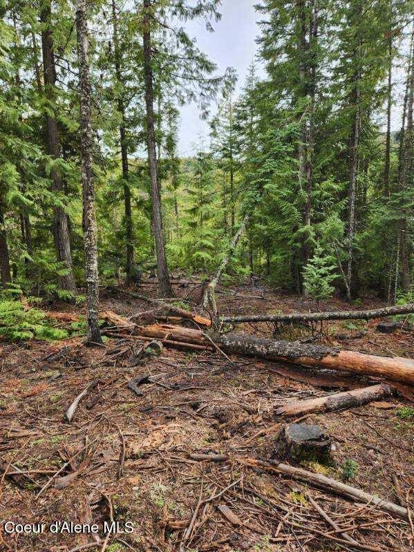 NKA Middle Fork Santa Creek, St. Maries, ID 83861 - photo 3