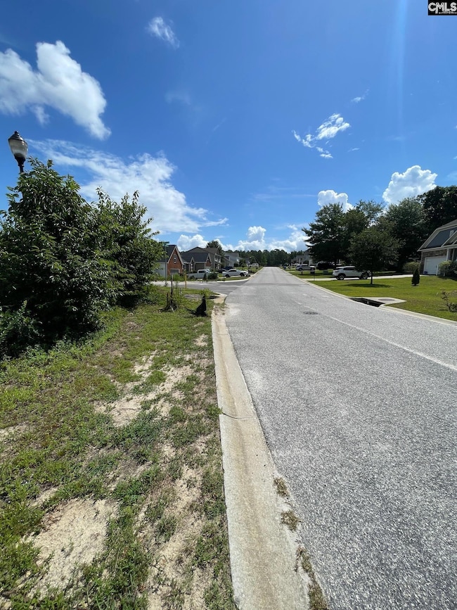 55 Edinburgh Ln, Camden, SC 29020 - photo 3