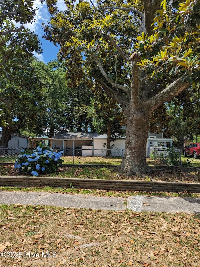 PXL_20240605_155737421