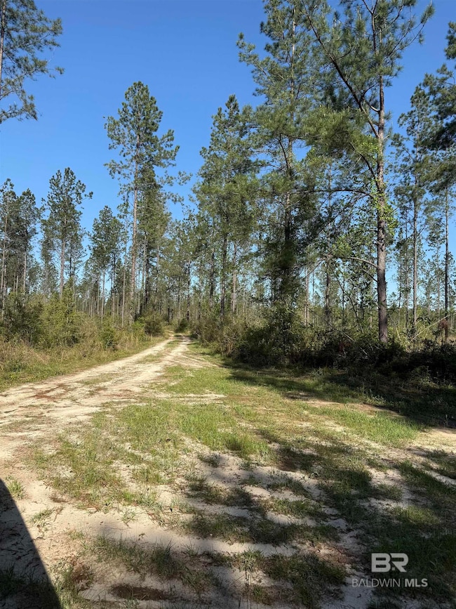 0 Timber Company Rd unit TTE Lot 5 377413, Robertsdale, AL 36567 - photo 6