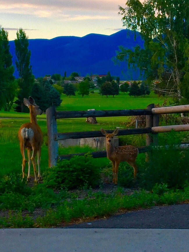 300 Bayview Dr, Polson, MT 59860 - photo 7