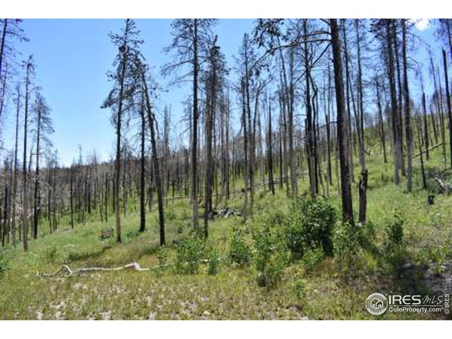 970 Deer Horn Trail, Bellvue, CO 80512 - photo 4