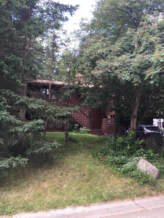 Front yard and trees