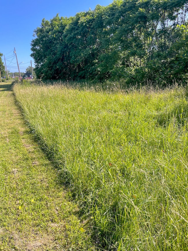 992 Highland Ave, Benton Harbor, MI 49022 - photo 3