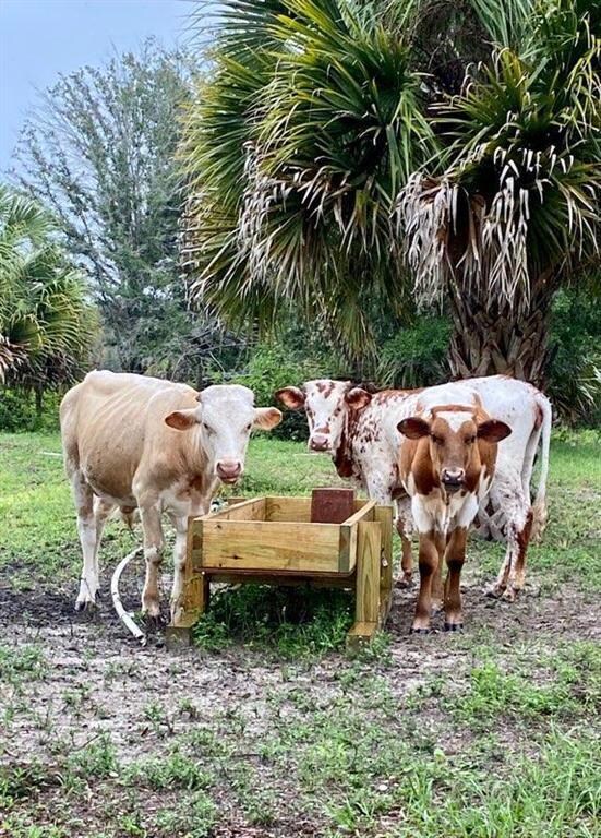 20225 Bedu Ct, Loxahatchee, FL 33470 - photo 6