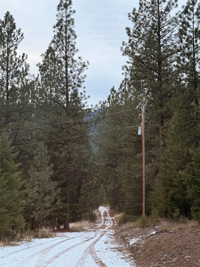 NHN Yearling Run, Alberton, MT 59820 - photo 3